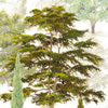 Greeson - set lenzuola