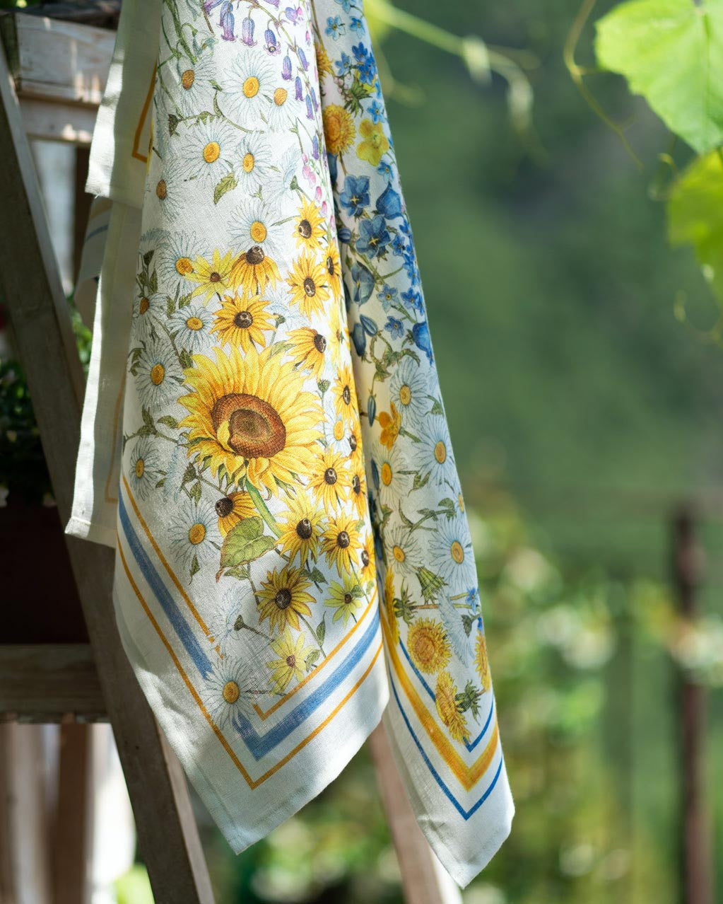 Sungarden girasoli - Canovaccio da cucina