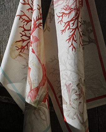 Aquarius rosso - canovacci