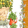 Balcon potag arancio - Canovaccio da cucina