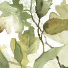 Ballotte verde - Canovaccio da cucina