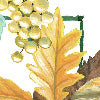 Brisk verde - Canovaccio da cucina