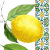 Cetara giallo - Canovaccio da cucina