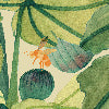 Ficus verde - Canovaccio da cucina