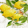 Limoncello Cuscino arredo rettangolare