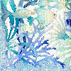 Tortuga Cuscino arredo quadrato