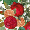Garland glee rosso - Canovaccio da cucina
