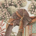 Mudra elefante - Canovaccio da cucina