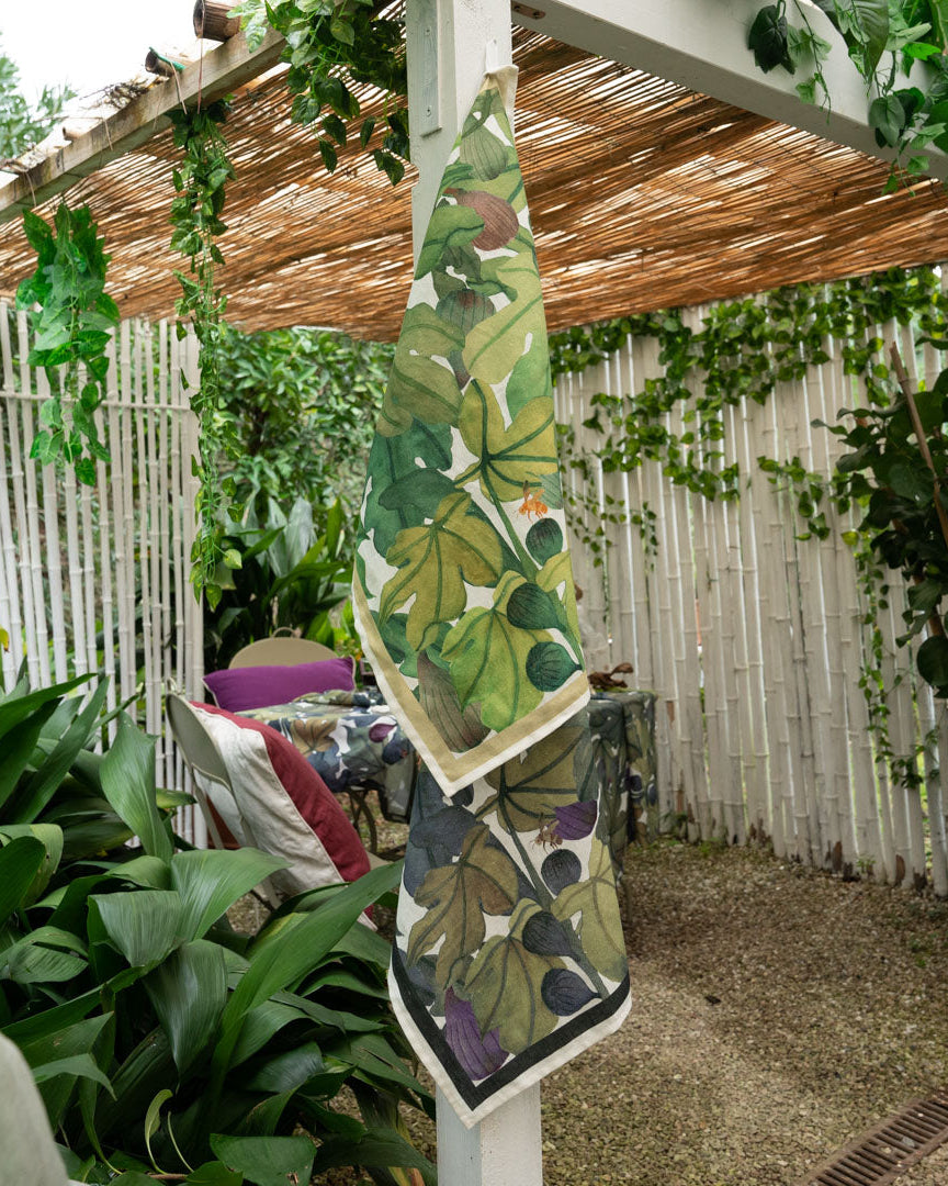 Ficus viola - Canovaccio da cucina