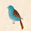 Mindo birds - set lenzuola