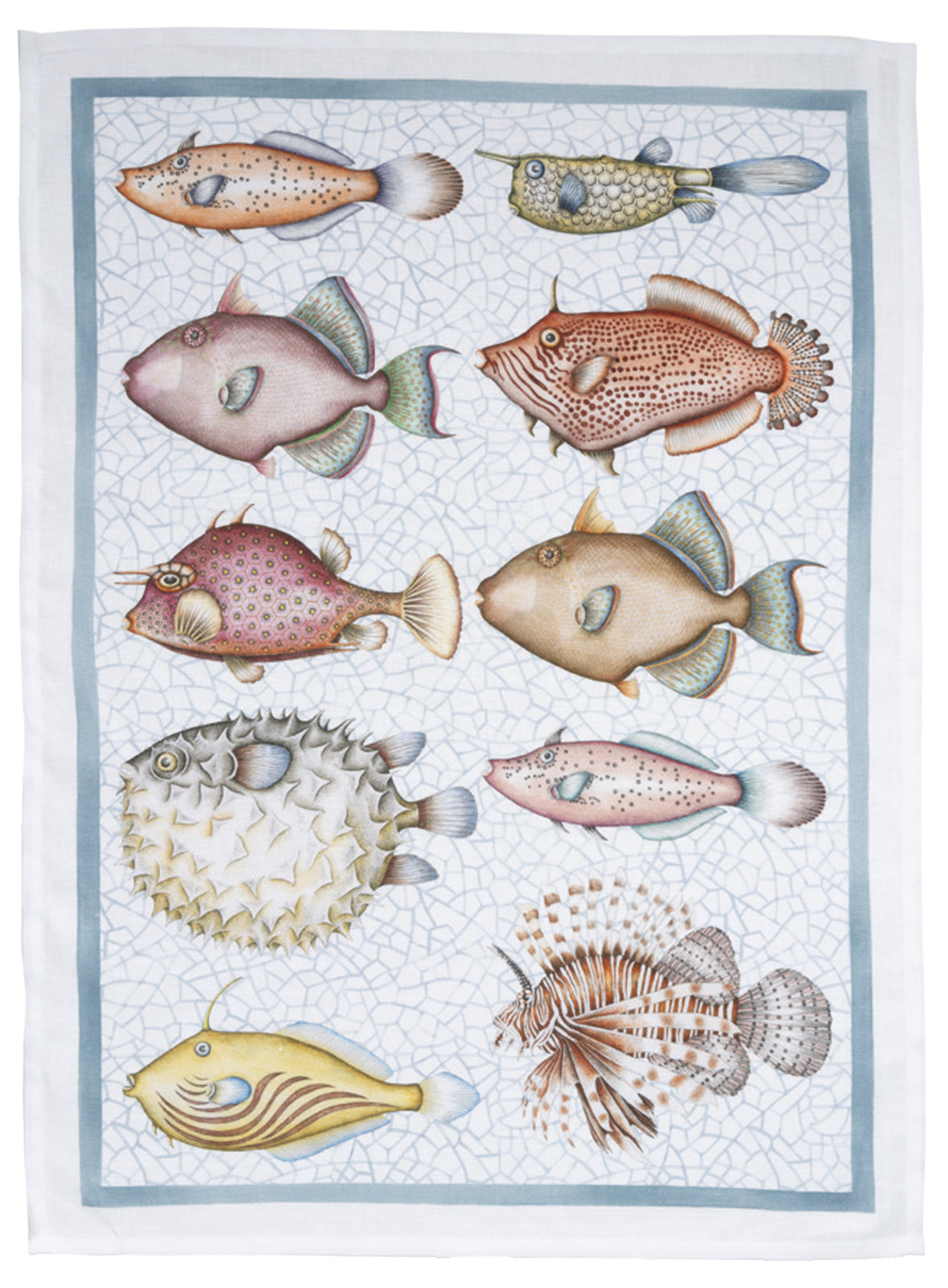 Reef turchese - Canovaccio da cucina