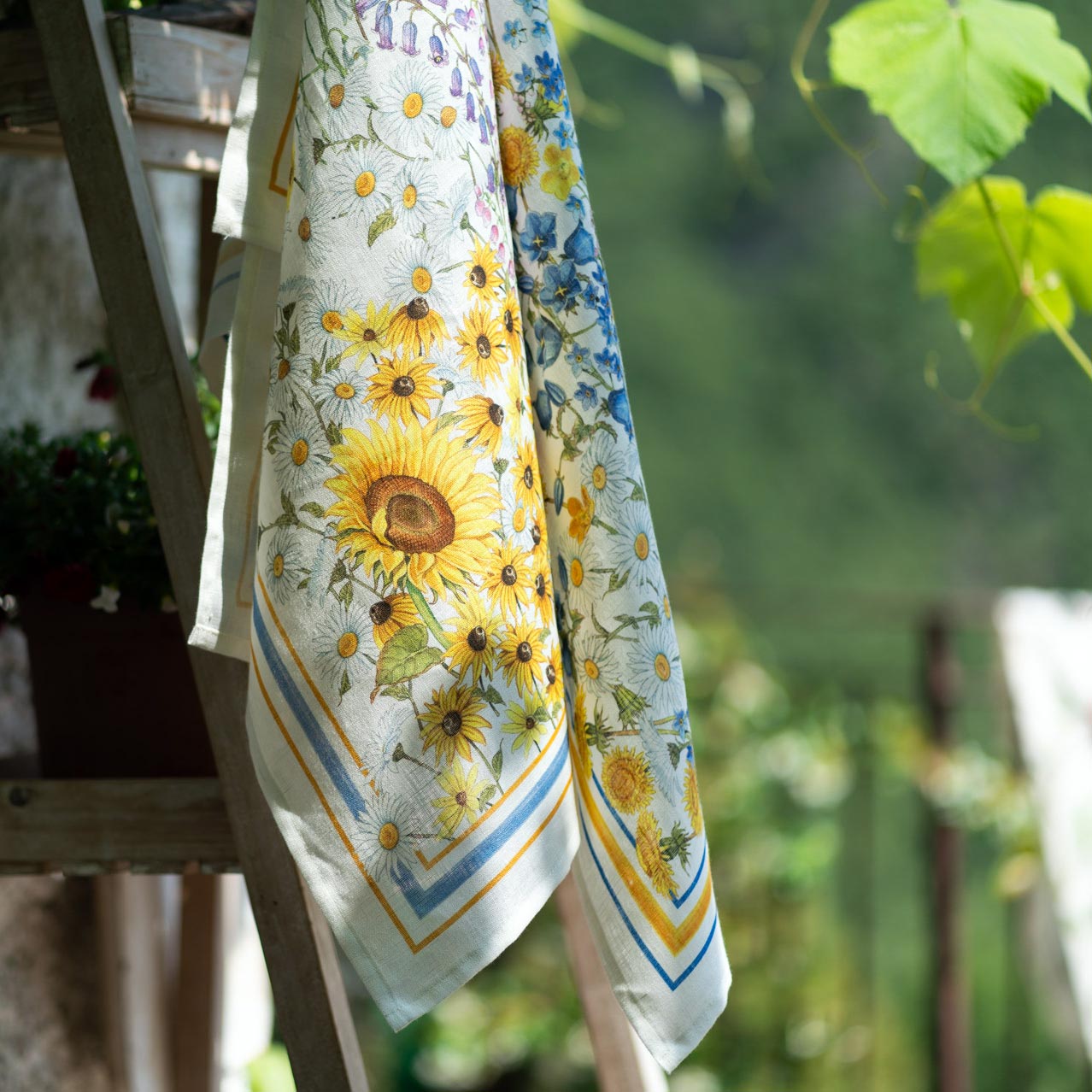 Sungarden fiordalisi - Canovaccio da cucina