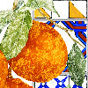 Azulejos arancio - Canovaccio da cucina