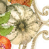 Cenerentola bianco - Canovaccio da cucina