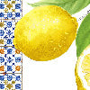 Cetara blu - Canovaccio da cucina