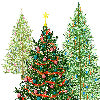 Fairy trees three - Canovaccio da cucina