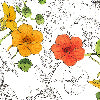 Gravure arancio - Canovaccio da cucina