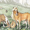 Maso corda - Canovaccio da cucina