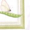 Petits pois green - Canovaccio da cucina