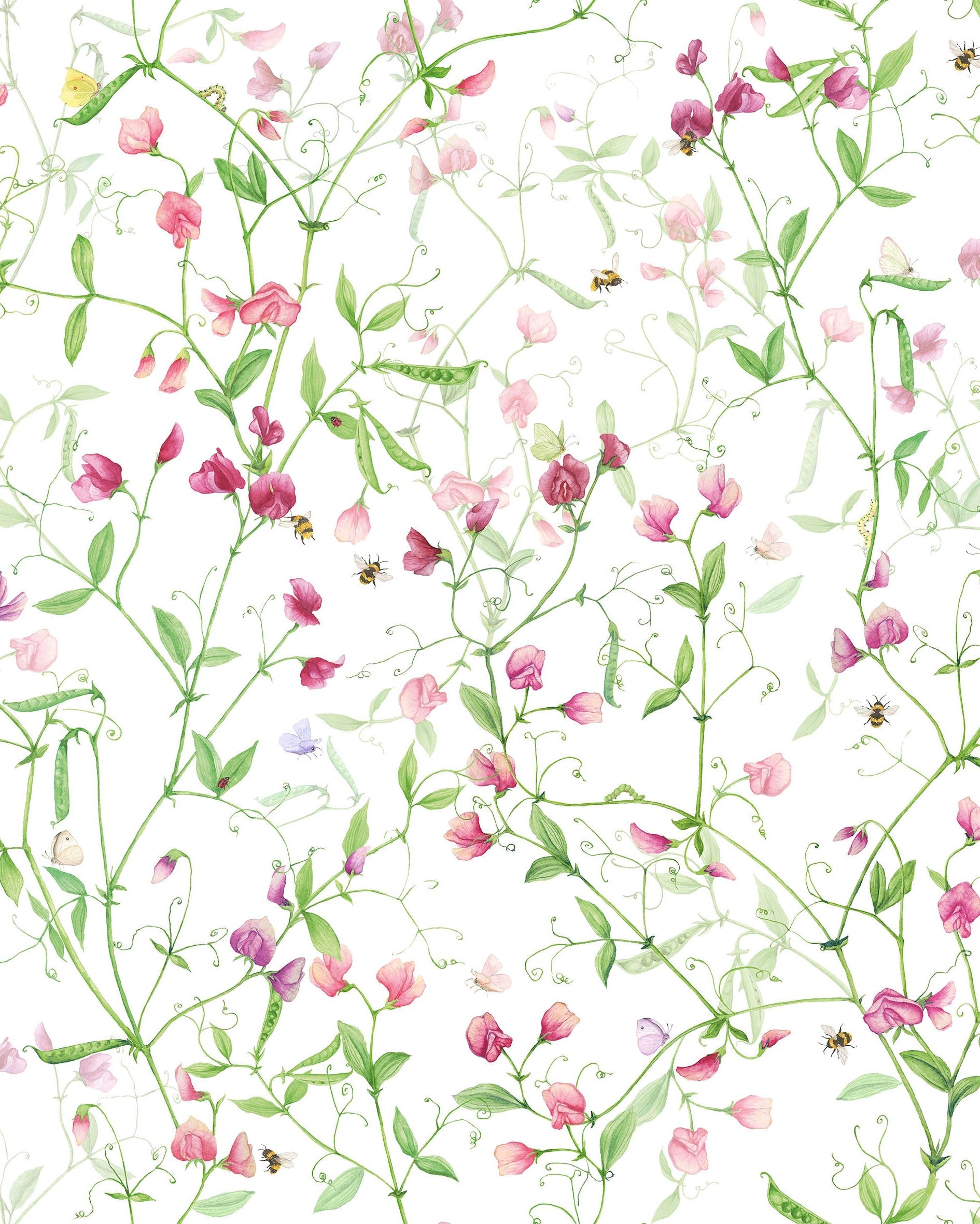 Petits pois - Tovaglia