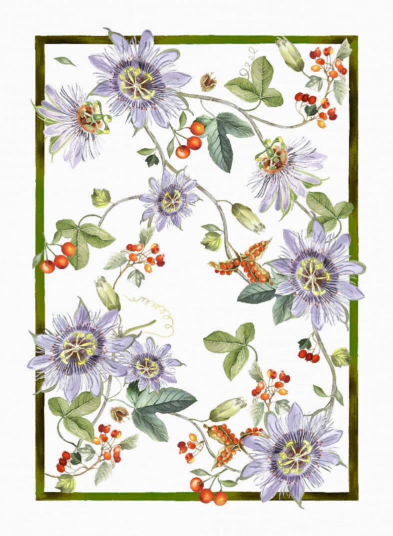 Kurbis fiori - Canovaccio da cucina