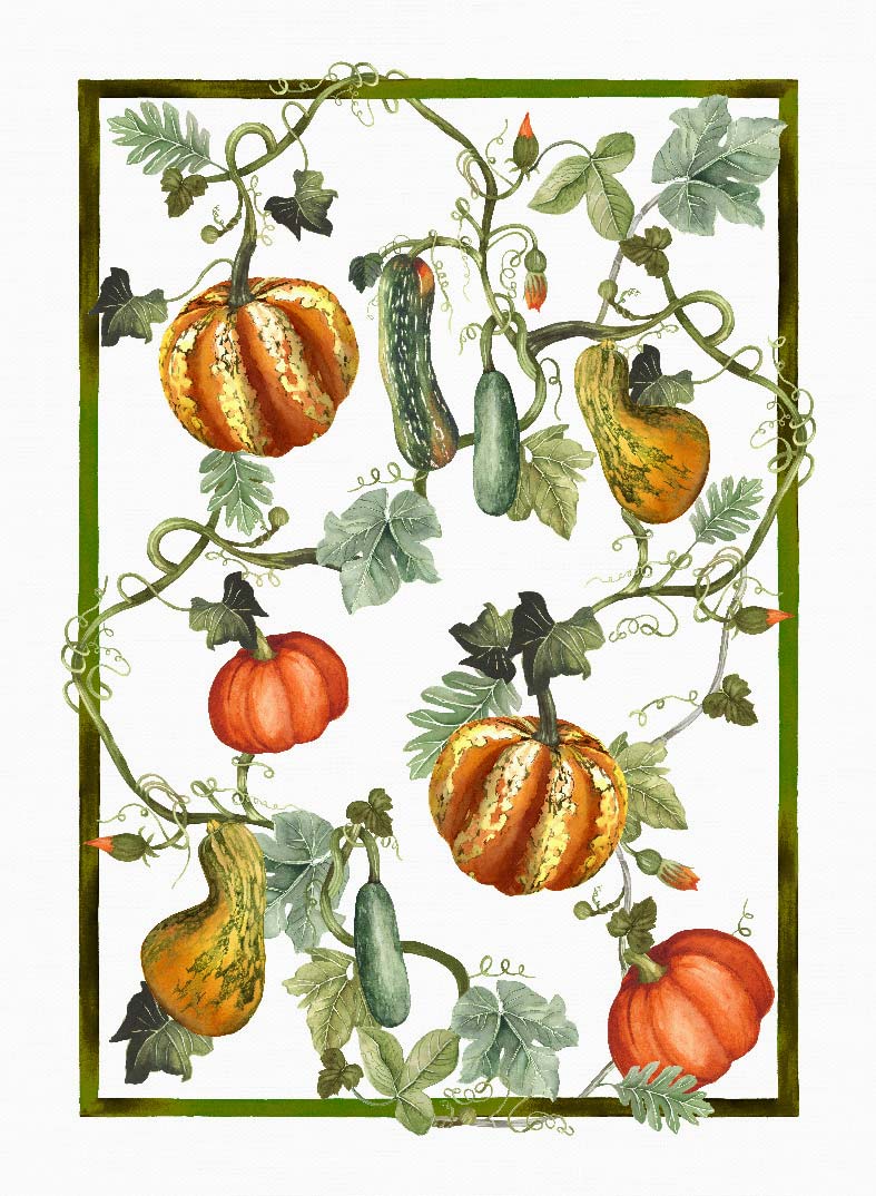 Kurbis zucche - Canovaccio da cucina