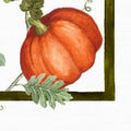 Kurbis zucche - Canovaccio da cucina