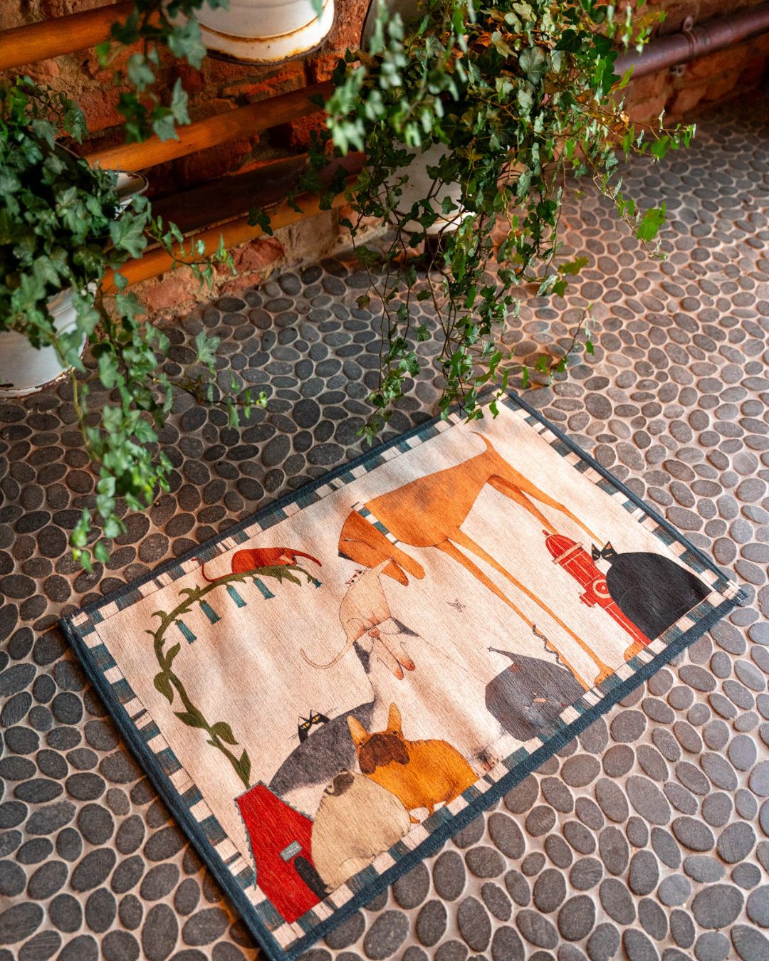 Momo - mat